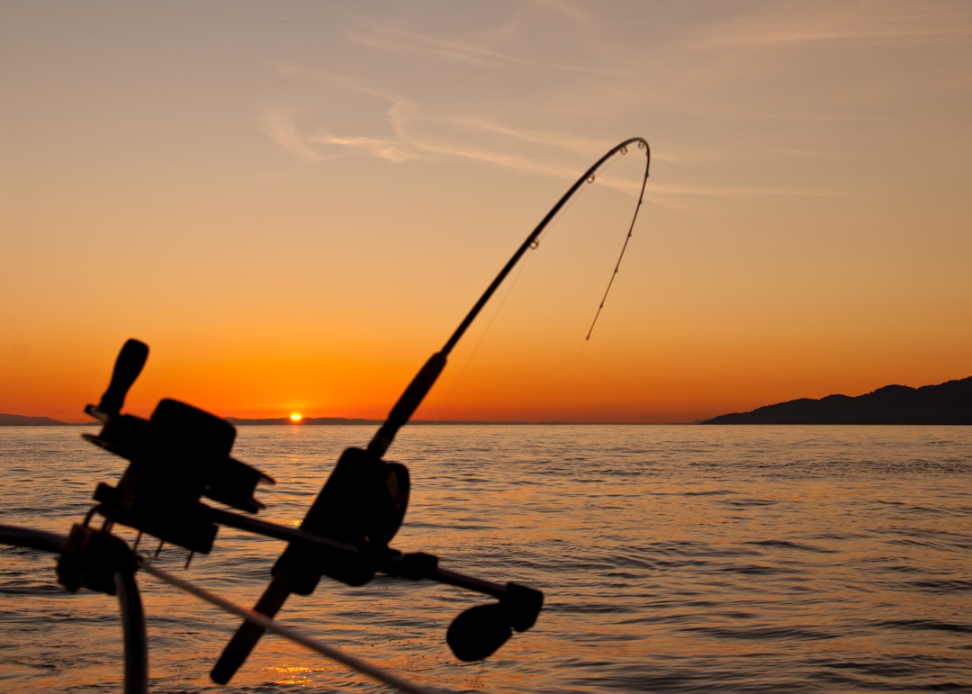 En Guide til Fiskereiser: Oppdag Havets Hemmeligheter