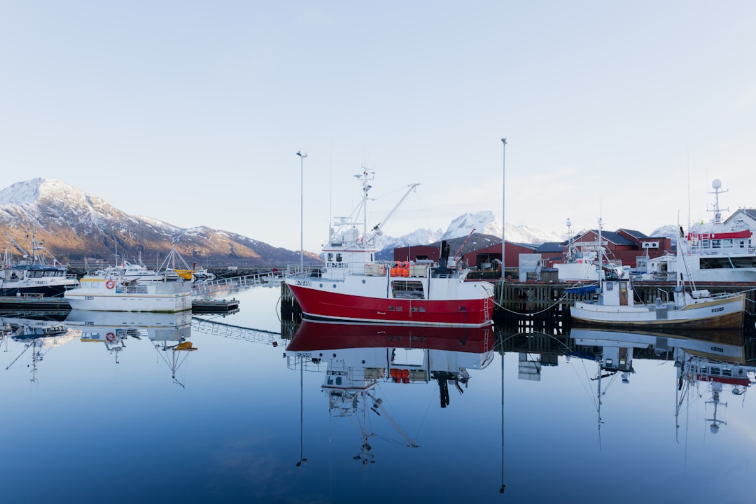 Fiskekvoter: En Omfattende Guide til Regler og Praksis