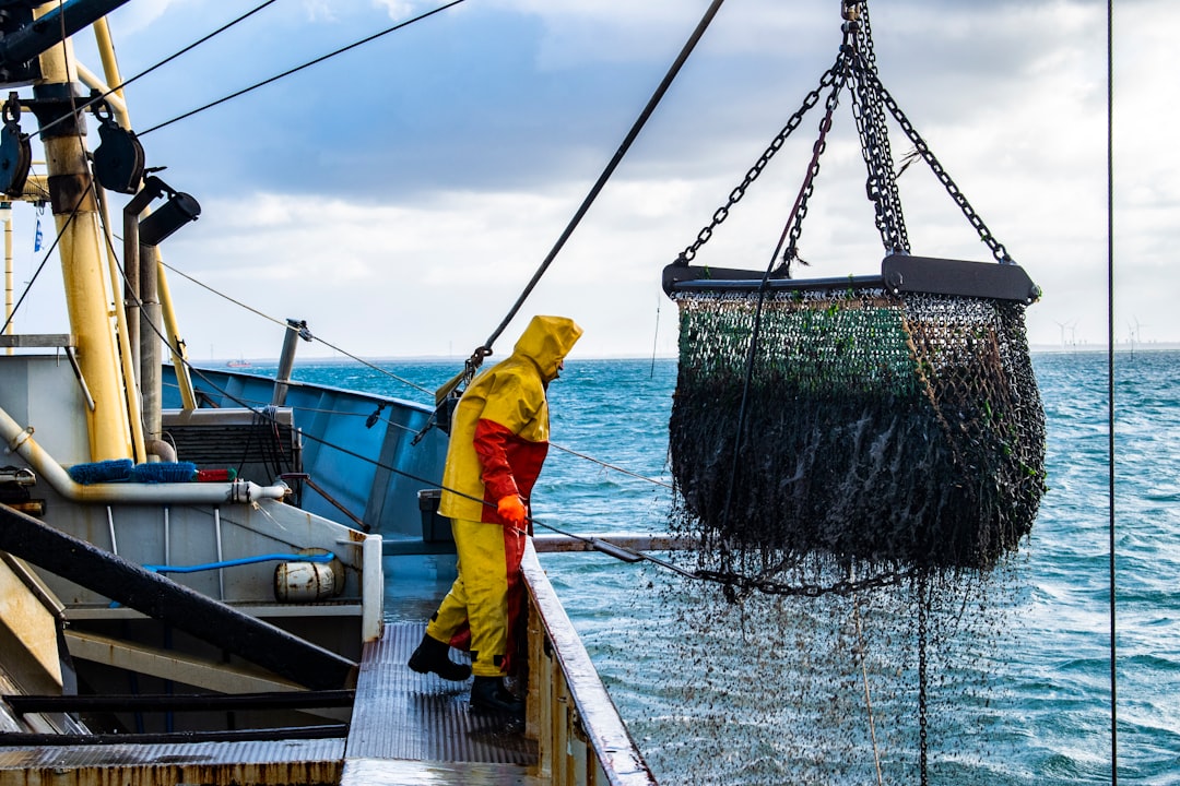 Fiskepolitikk i Norge: Bærekraft og Fremtid