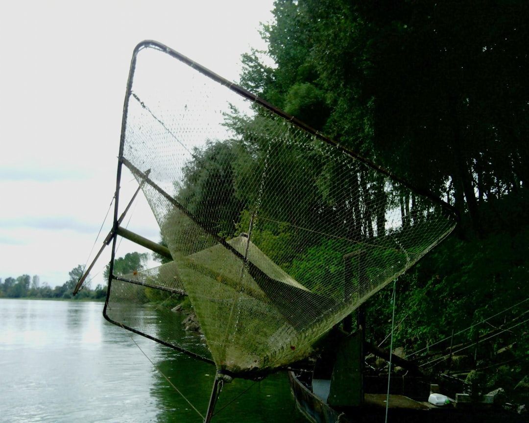 Fiskeutdanning: En Veiledning for Alle Fiskere