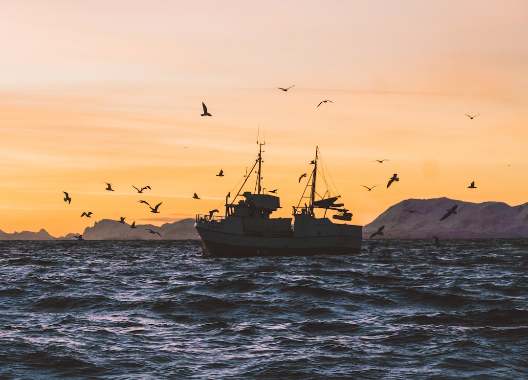 Fiskerelaterte Nyheter: Utviklingene som Former Norges Fiskeribransje